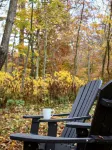 Cabin in Amish Country w animals - 1 mile from Berlin, Ohio