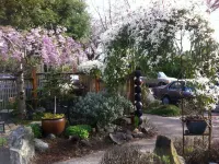 Seattle at its Best - the Premiere Walking Neighborhood!! Hotels in Wallingford