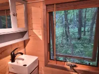 Tiny bungalow secluded in the woods with lake view.  Pets accepted!