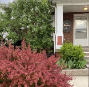 Charming,Cozy, Cottage - French Lick Quarters - Walk Casino/Resort, Pubs, Etc