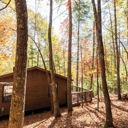 Mountain Cabin Near Hikes/Fishing; Hot Tub, Dog-Friendly, Toccoa River