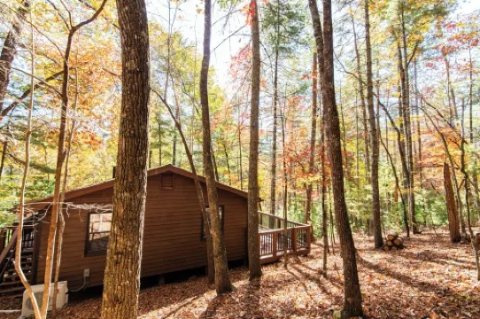 Olaf's Gone Hiking - Pet friendly