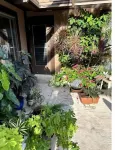 The Secret Garden