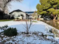 Desert Oasis with a star-gazing meditative & peaceful experience for the family.