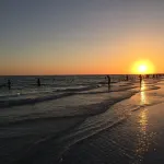 Modern Organic King Beds Salt POOL/SPA Dwtn Sarasota Retreat near Siesta Beach - مسبح خاص