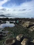 Stay at the BEST Olympic Peninsula Ocean Beach Retreat!