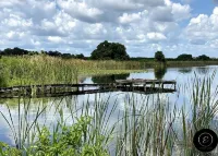 The Exclusive Tatman Evergreen Suite 레이크 알프레드 호텔