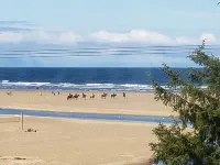 UNIQUE AND BEAUTIFUL , PRIME NORTH END LOCATION !!