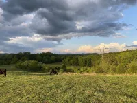 Luxury Tiny Home with River Views on 300 Acre Ranch