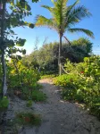 Private Saltwater Pool, Beach Service Perks, Conveniently Located! Dinner on us!