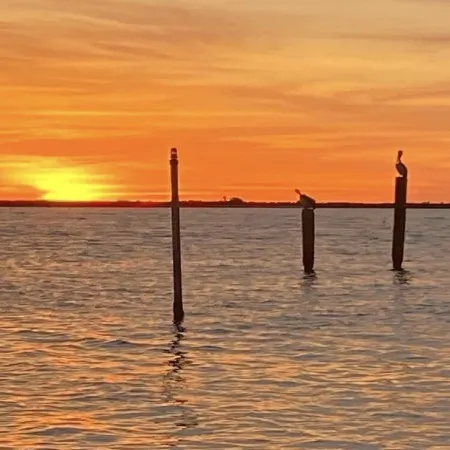 Right On Point (South Toledo Bend)