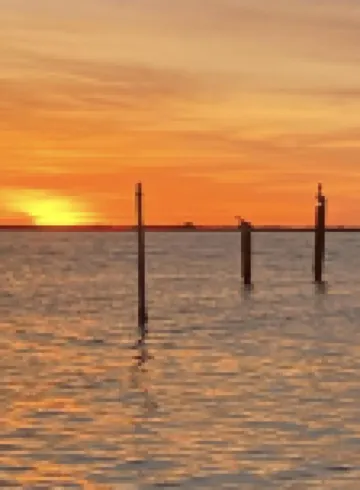 Right On Point (South Toledo Bend)