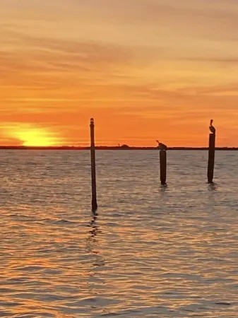 Right On Point (South Toledo Bend)