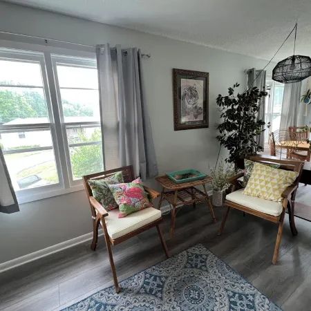 Cozy Bristol Jungalow Apartment- 2 blocks from King College - 2 bd/1 bath