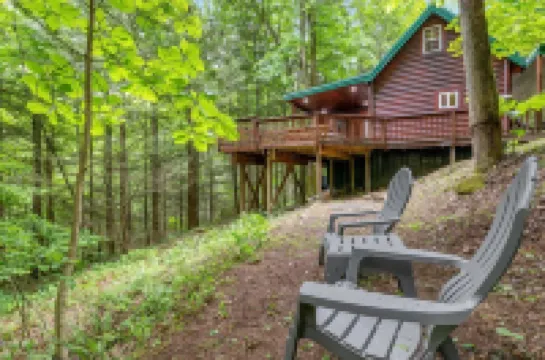 Fern Gulley Cabin with Hot Tub, Pet Friendly,  near DBBB / Hollerwood
