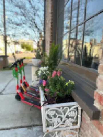 Heart of Downtown w Balcony by Dauphin St; walk to restaurants & shops SLEEPS 6!