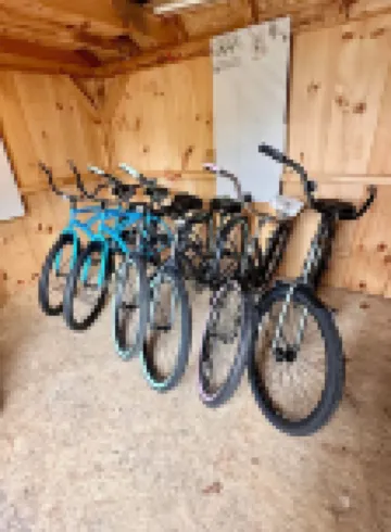 Charming Cape Cod Getaway- EV Charger, Mini Golf, Walk to The Beach, Pets Okay!