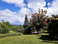 UALANI RETREAT. Spacious Ocean/Mountain View Cottage.Private Tropical Sanctuary.