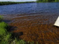 500' Lakeshore, 2 Docks, Sand Beach, Sleeps 10, A/C, Pontoon Boat for Rent Hotels in Hunter