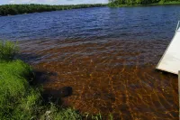 500' Lakeshore, 2 Docks, Sand Beach, Sleeps 10, A/C, Pontoon Boat for Rent