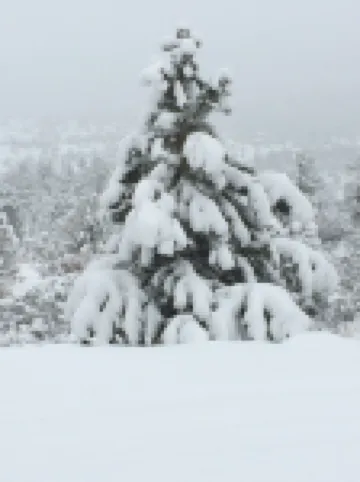 'The Hideaway' - Tucked in the Beautiful Wet Mountain Valley.