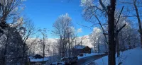 Dogs ‖ S'mores & Fire ‖ 2 Mins to Slopes ‖ Paved Road Access