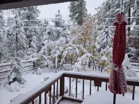 Garden Cabin with Fenced Yard and AC