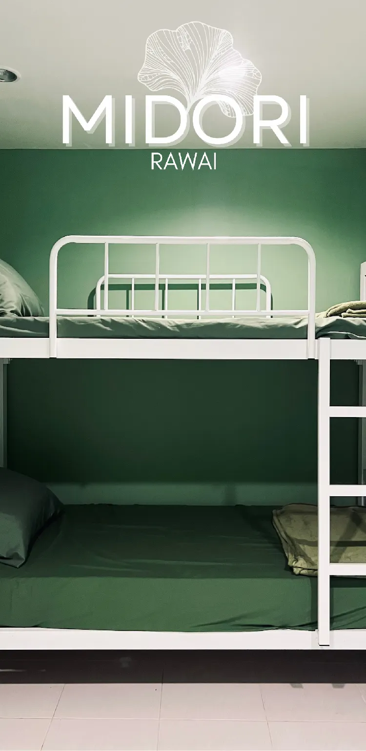 Bunk Bed in Female Dormitory Room - 4 Beds
