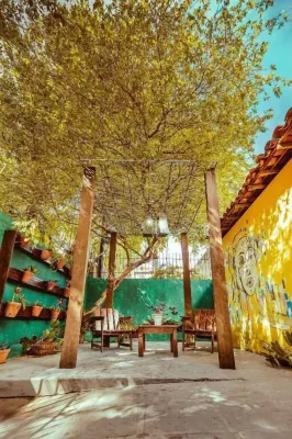 Cosmopolitan Hostel Hotels in 