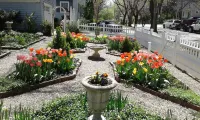 Moore House Bed and Breakfast Hotel in zona Thompson Hall