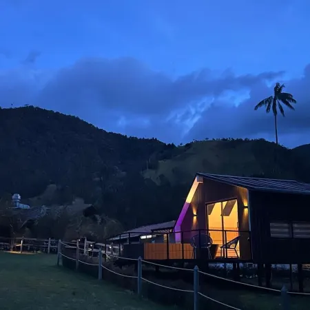 Bosques de Cocora Donde Juan B