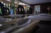 스테파니 그레이스 인