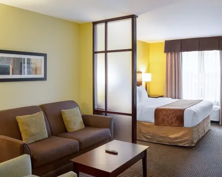Comfort Suites Harvey - New Orleans West Отели в г. Жан Лафитт