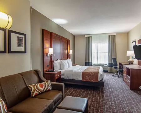 コンフォート スイーツ NW ダラス ニア ラブ フィールド ダラスのホテル