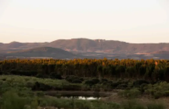 Herdade Dos Abegões