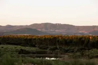 Herdade Dos Abegões Hotels in Monsanto