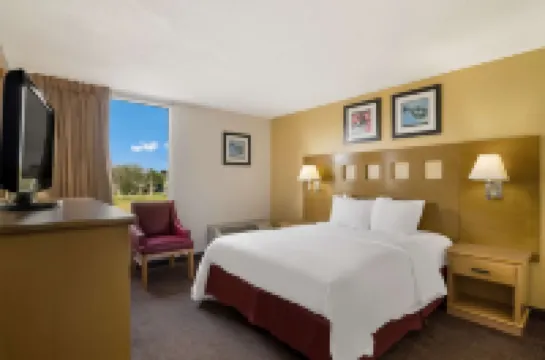 퀄리티 인 앨리스