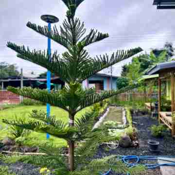 PJ Kingdom Camps บ้านริมน้ำ สำหรับครอบครัว Hotel Exterior