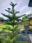 PJ Kingdom Camps บ้านพักตากอากาศ ยินดีต้อนรับสัตว์เลี้ยง Các khách sạn ở 
