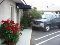The Monterey Motel - Motels