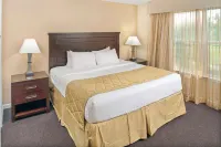 Hilton Vacation Club Greensprings Williamsburg Zales Outlet 주변 호텔