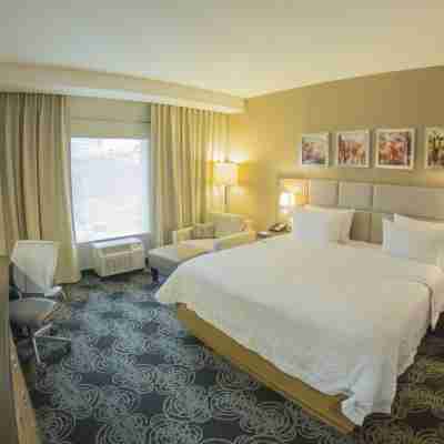 Hampton Inn by Hilton Zacatecas Rooms