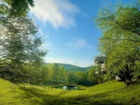 The "Hang-over"  Winery Treehouse
