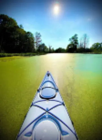 Getaway WithInn-Relaxation Centrally Located to Beaches and Walkable Restaurants