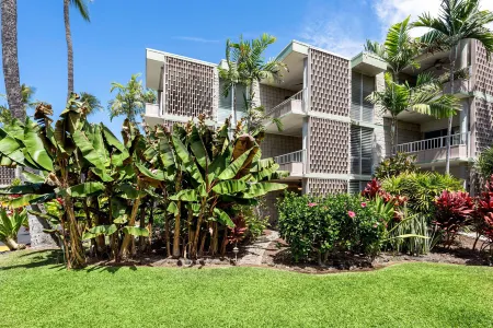 Ocean-View Pool and Cozy Living Space - Inviting Tropical Retreat