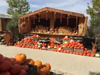 Vacation apartment Schickolores Hotels in Eibenstock