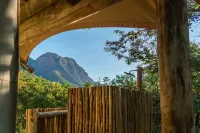 Cape Vulture Lodge