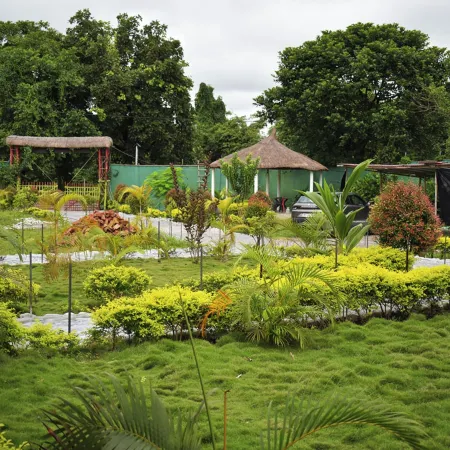 Falcon Jungle Resort