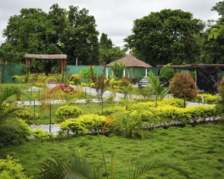Falcon Jungle Resort Hotels in Baksa