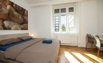 Viva Rooms